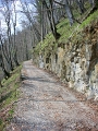 Alp Rohr_Hoehenweg_Chueweid 25 04 2010 (70)